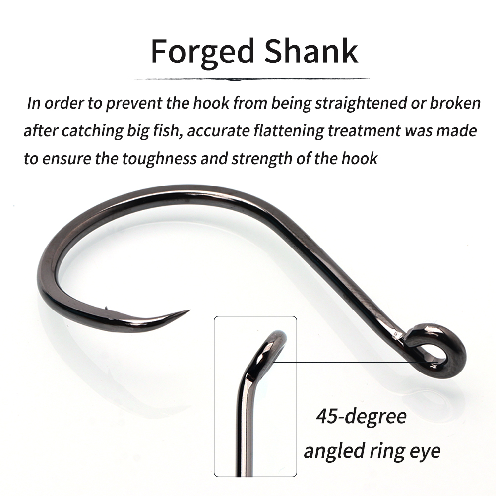 Lionriver Gancio circolare pes - Fishing Hook Offset recensione e prezzo